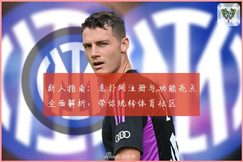 新人指南：虎扑网注册与功能亮点全面解析，带你玩转体育社区
