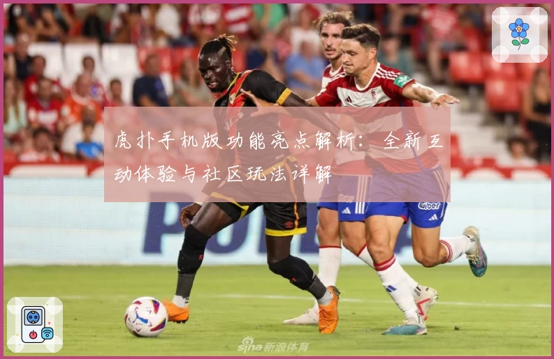 虎扑手机版功能亮点解析：全新互动体验与社区玩法详解