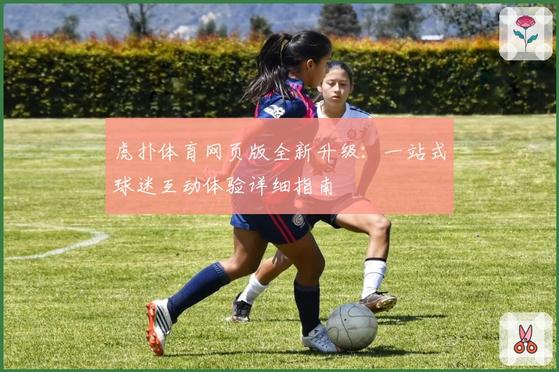 虎扑体育网页版全新升级：一站式球迷互动体验详细指南