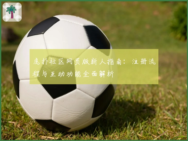 虎扑社区网页版新人指南：注册流程与互动功能全面解析