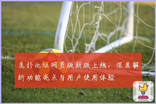 虎扑论坛网页版新版上线,深度解析功能亮点与用户使用体验